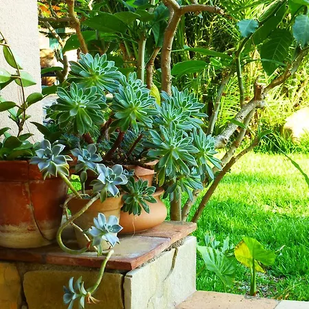 Rosa Ferienhaus *