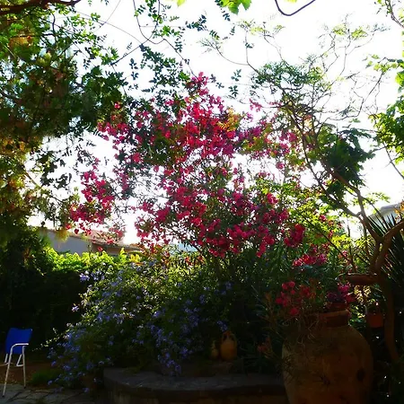 Rosa Campofelice Di Roccella